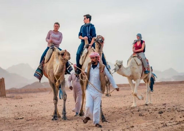 Desert Quad Tour + Bedouin Dinner