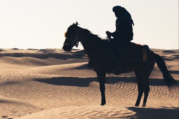 Horseback Riding in Hurghada