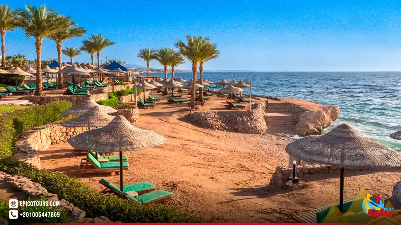 Egypt trip package 