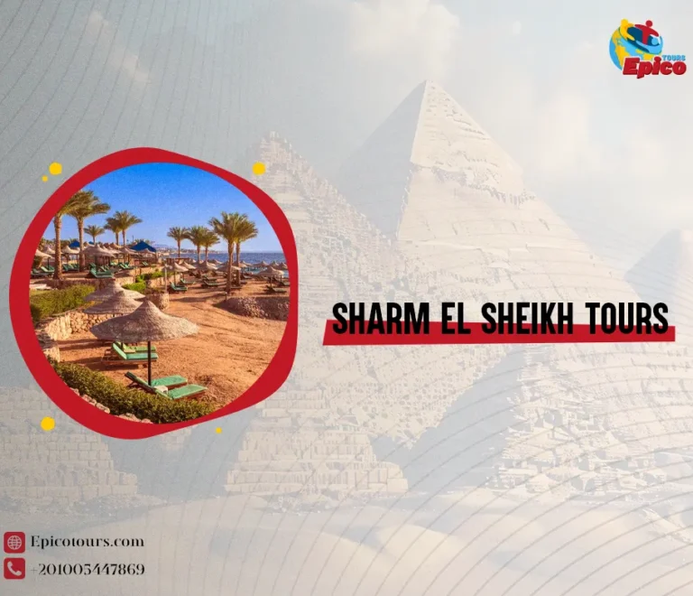 Sharm el sheikh tours